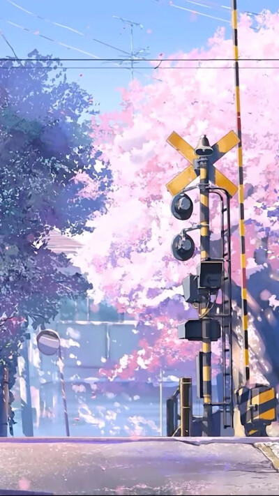 紫色仙子传送门