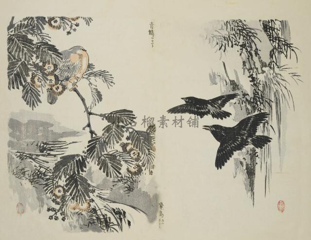 日本古传统水墨典梅岭绘百鸟风景植物花草图鉴绘画素描临摹素材22