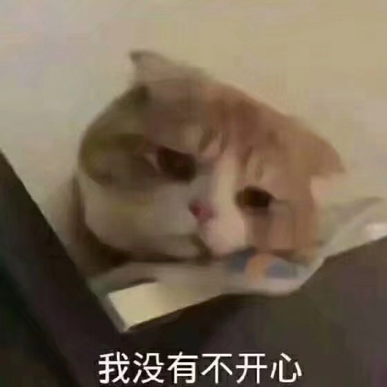 猫表情