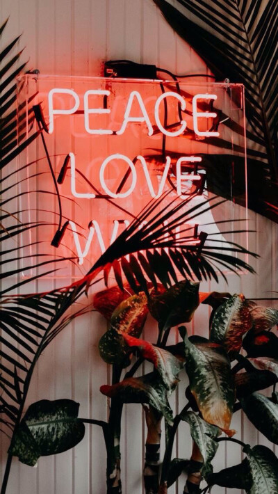 插画 壁纸 杂图