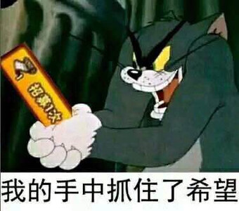 猫鼠警告