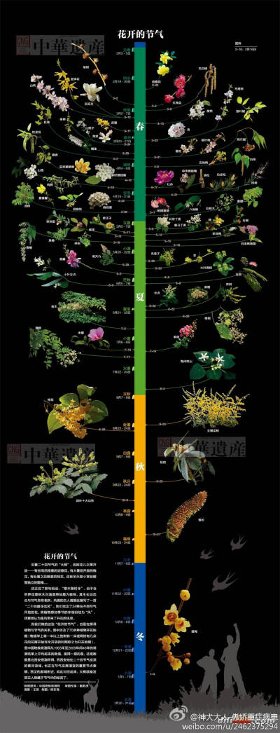 花开的节气