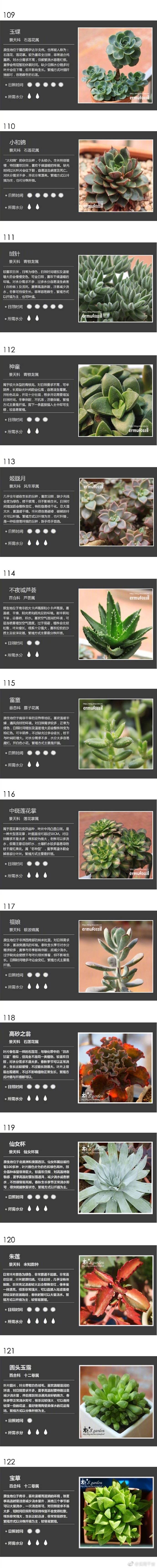 养花的不知道花叫啥
100种多肉植物名字对照图-珍藏版。 ​