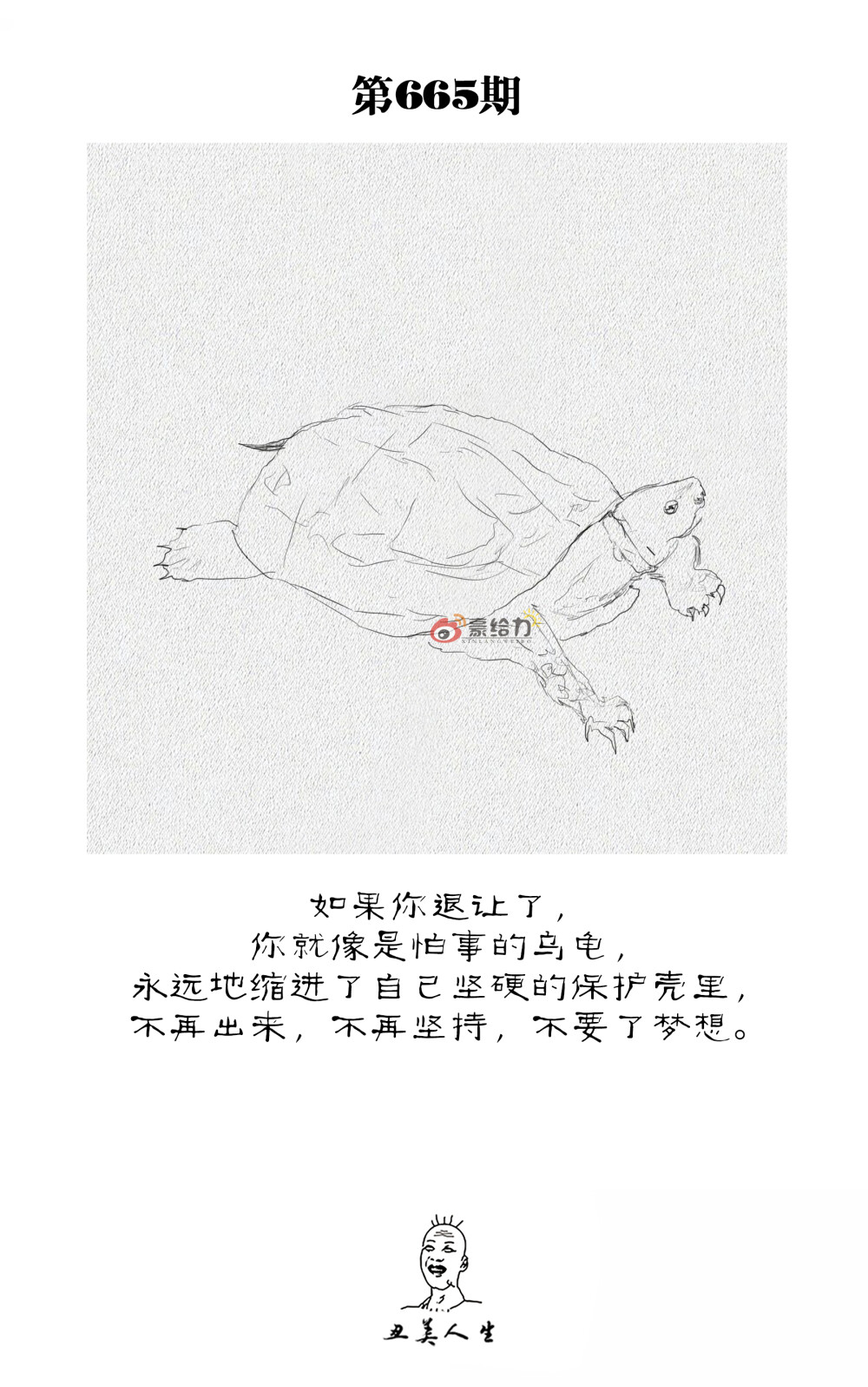 关注新浪微博@豪给力 每日更新