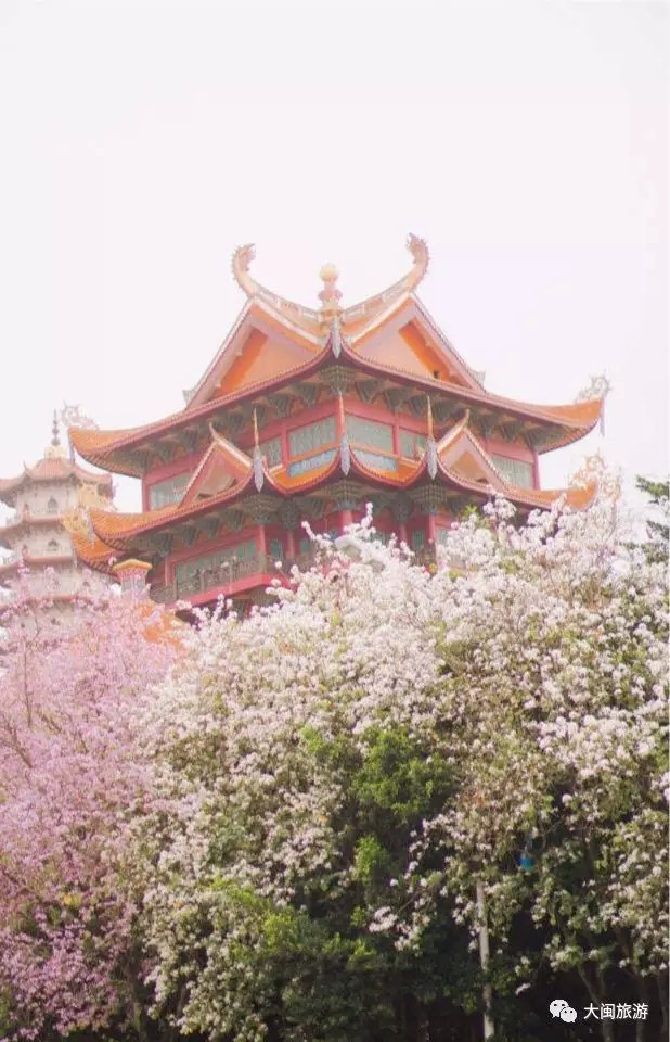 古刹西禅寺福建