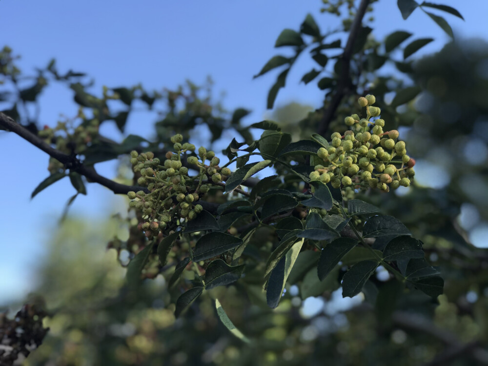 风景照片素材