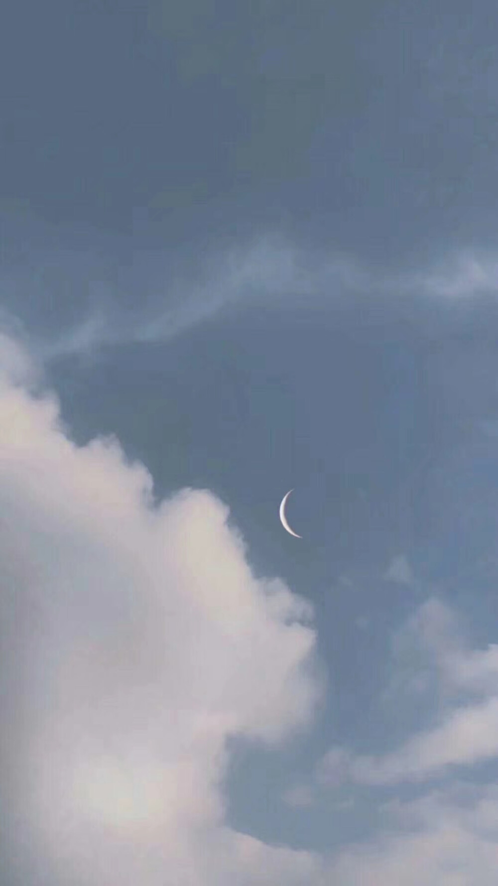壁纸昂 爱你们的emmmmmm 你们说什么就是什么吧