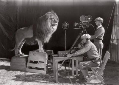 1928年，好莱坞最初的电影时代，
电影片头的狮子头像，
是对着活生生的狮子
近距离拍出来的，
真为当年这俩勇敢的摄影师担心。