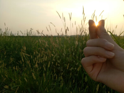 夕陽，狗尾巴草，我，還有你。