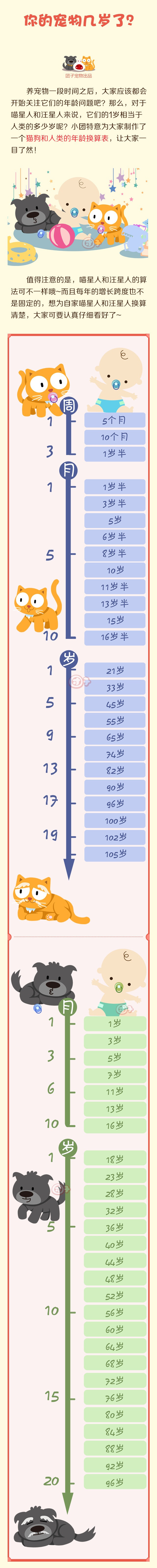 猫狗和人类的年龄换算表 ~ 宠物常识漫画