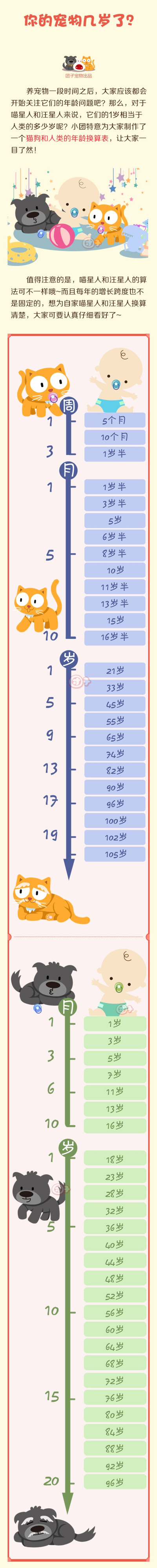 猫狗和人类的年龄换算表 ~ 宠物常识漫画