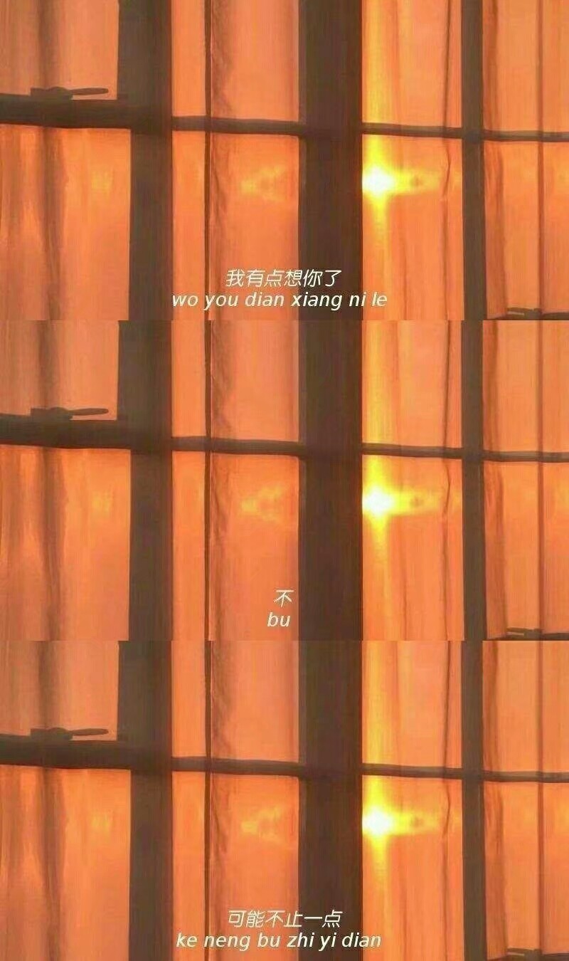 壁纸