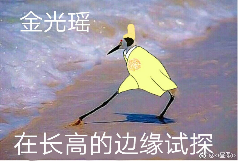 漂酿的小姐姐