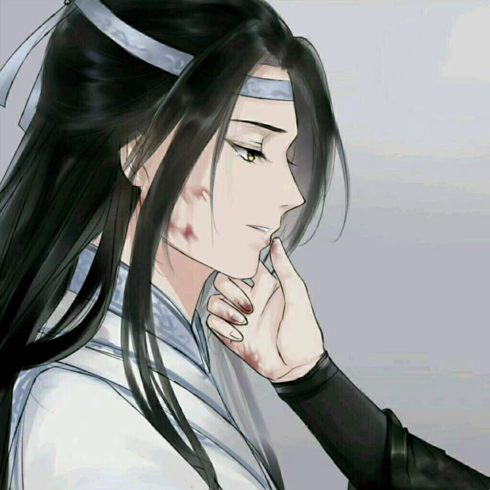 魔道祖师，魏无羡，蓝忘机，薛洋，晓星尘，金凌，江澄