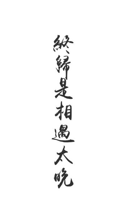 魔道祖师，魏无羡，蓝忘机，薛洋，晓星尘，金凌，江澄，文字壁纸