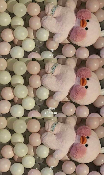把对你的喜欢酿成酒
隔壁的小孩都馋哭了
百里外的猫都醉了
♡
“可以在深夜的街道狂奔
也可以在寂静的深巷烂醉
关于流浪与远方的一切我都不要了
就连你 我也不要了” ​​​