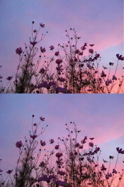 把对你的喜欢酿成酒
隔壁的小孩都馋哭了
百里外的猫都醉了
♡
“可以在深夜的街道狂奔
也可以在寂静的深巷烂醉
关于流浪与远方的一切我都不要了
就连你 我也不要了” ​​​