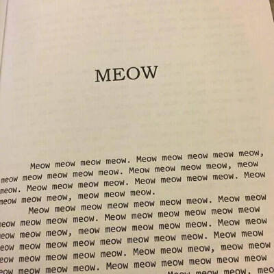 MEOW.
图片来自网络(侵删