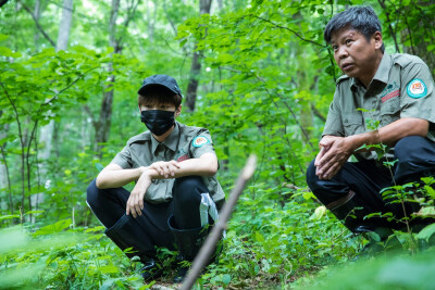 王俊凯 珲春东北虎豹保护区实地考察