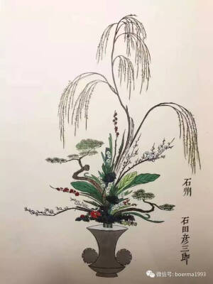 花艺手绘