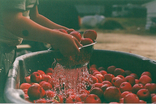 水果 ，fruit