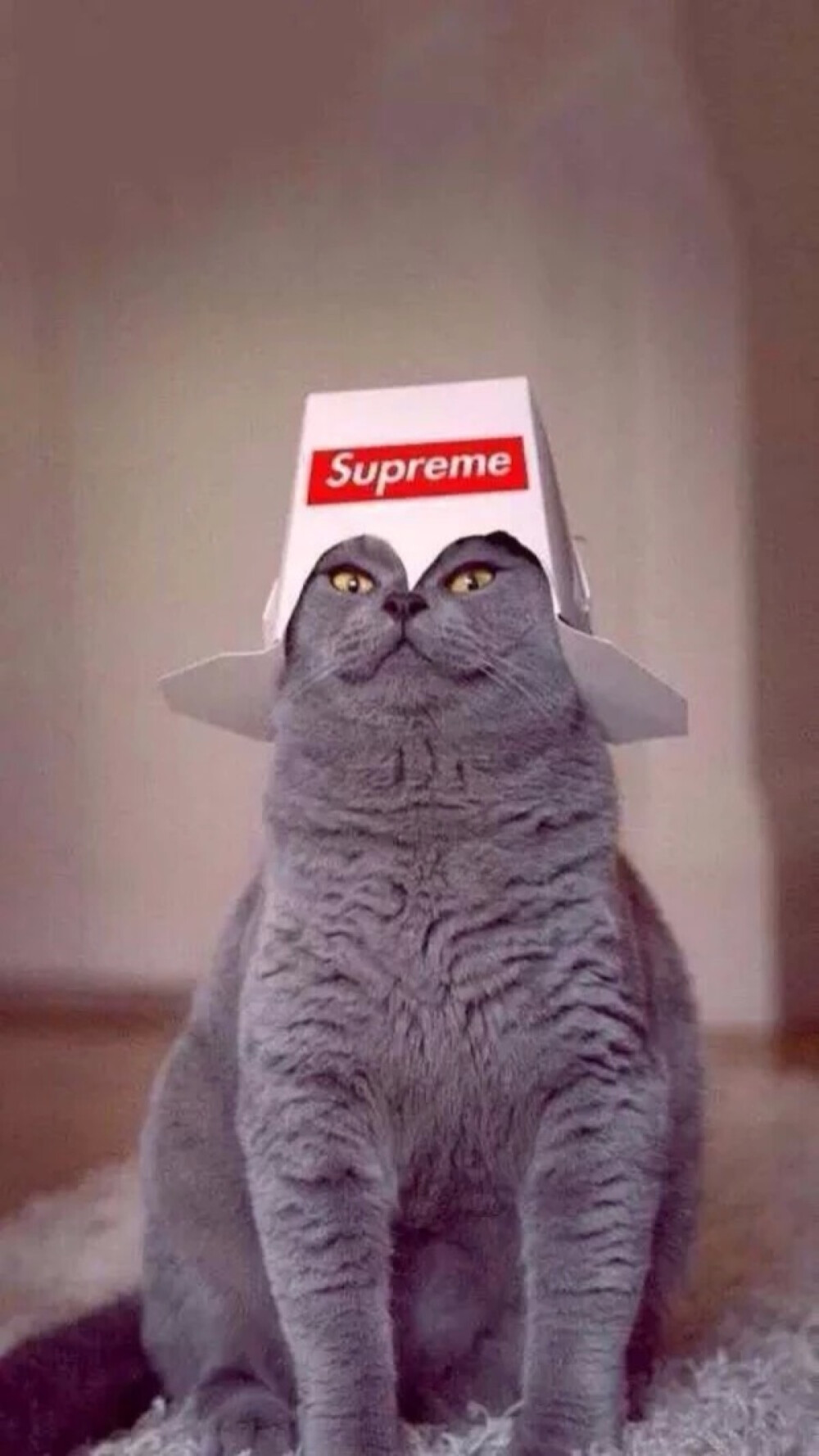 supreme