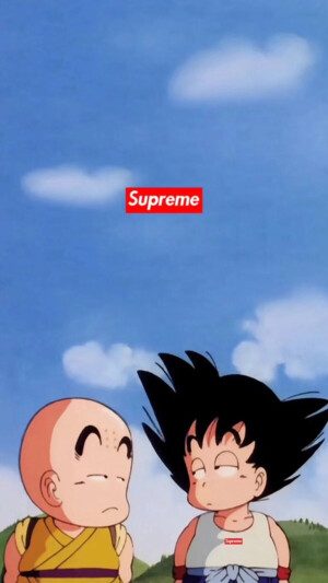 杂