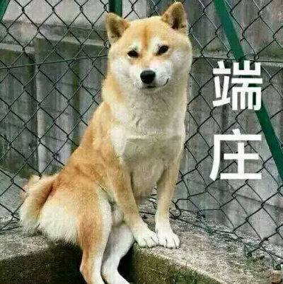 表情包