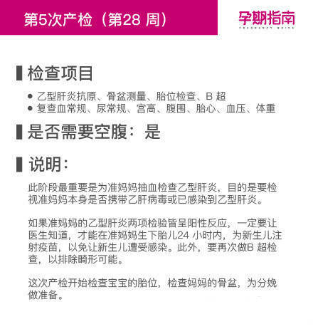 超级详细的孕期检查时间表 ​​。