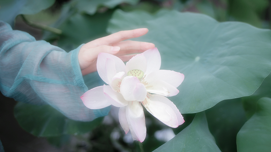 古风 背景 图集 /泛轻舟
二传注明出处