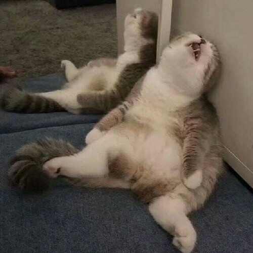搞怪