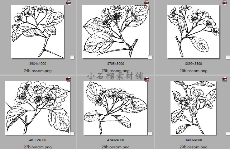 手绘黑白素描植物花卉枝干临摹装饰画图片素材临摹素材24