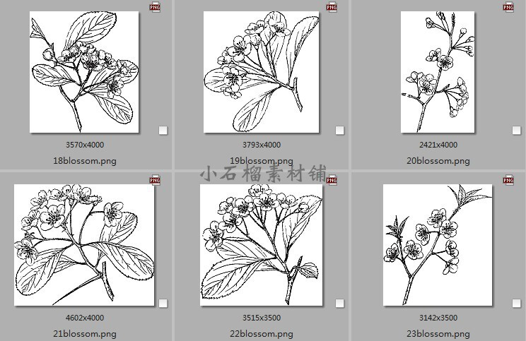 手绘黑白素描植物花卉枝干临摹装饰画图片素材临摹素材24