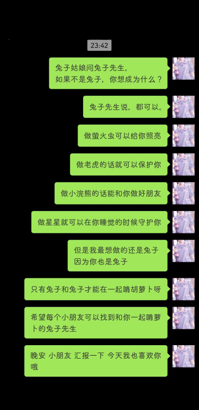 和我一起啃萝卜的兔子先生 