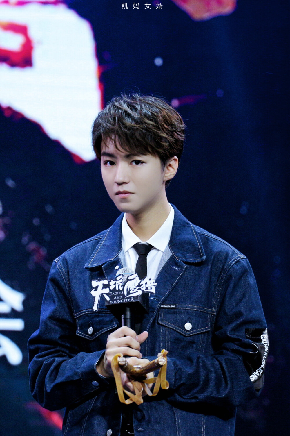 王俊凯20180830天坑鹰猎超级剧集首播发布会crlogo