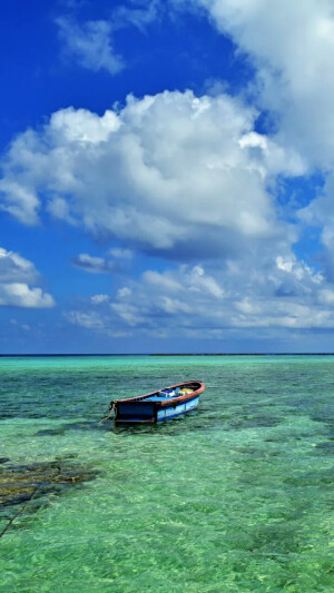风景如画&城市烟火