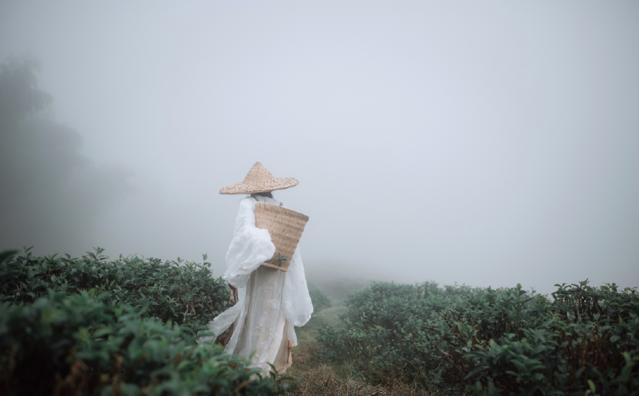 你的江南烟雨，我的万丈红尘，红烛泪，一世倾，道是爱恨离合最伤人。