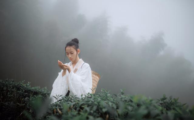 你的江南烟雨，我的万丈红尘，红烛泪，一世倾，道是爱恨离合最伤人。