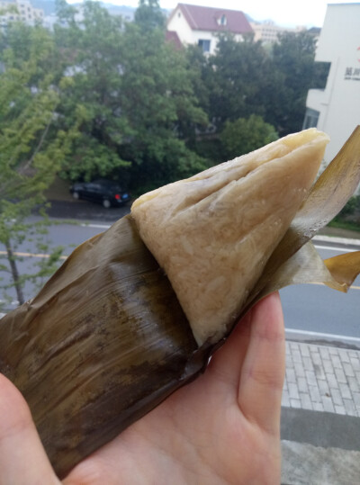 自制豆沙粽，紧实好吃。