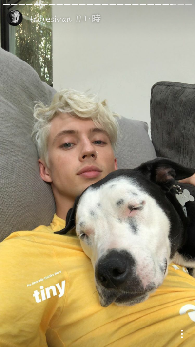 戳爷 troye sivan 特洛耶希文 近期 自截 ins 下载后自行裁剪 [杨晋戈]