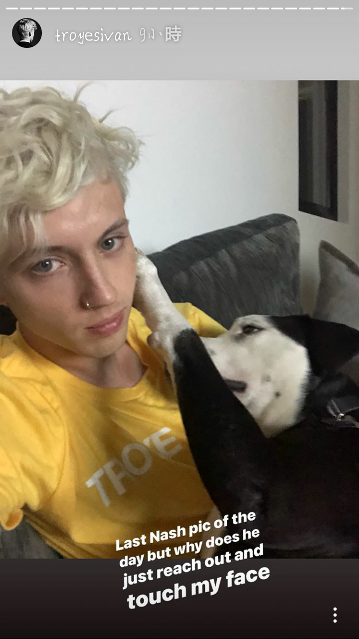 戳爷 troye sivan 特洛耶希文 近期 自截 ins 下载后自行裁剪 [杨晋戈]