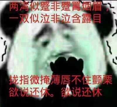 文科肥宅