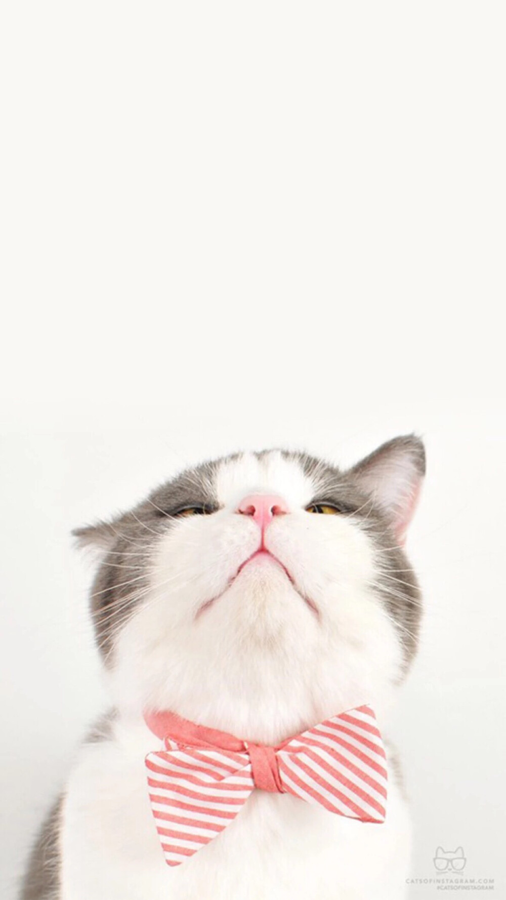 孤独的像条狗