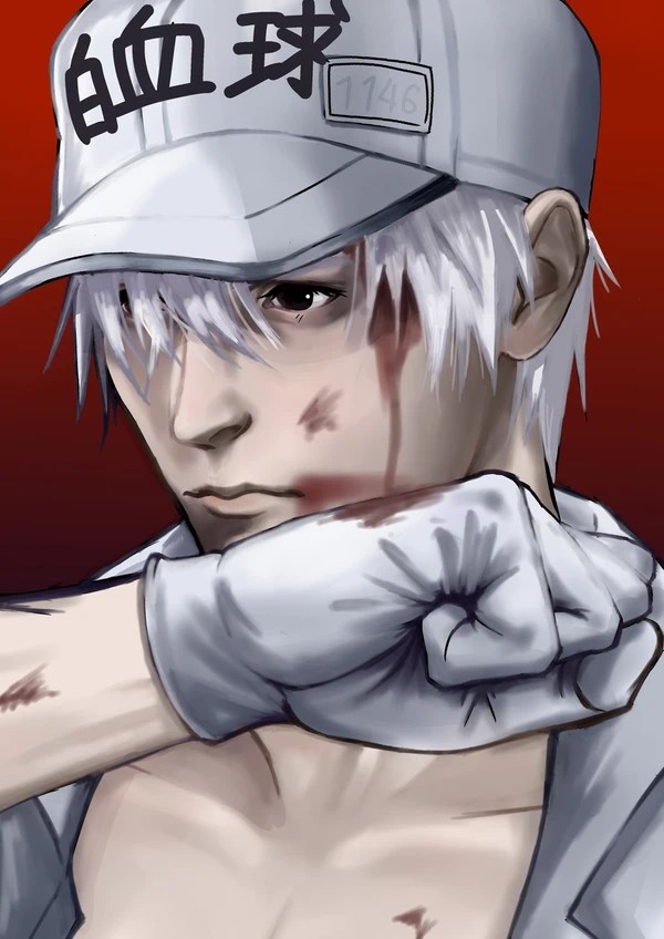 工作细胞-白细胞