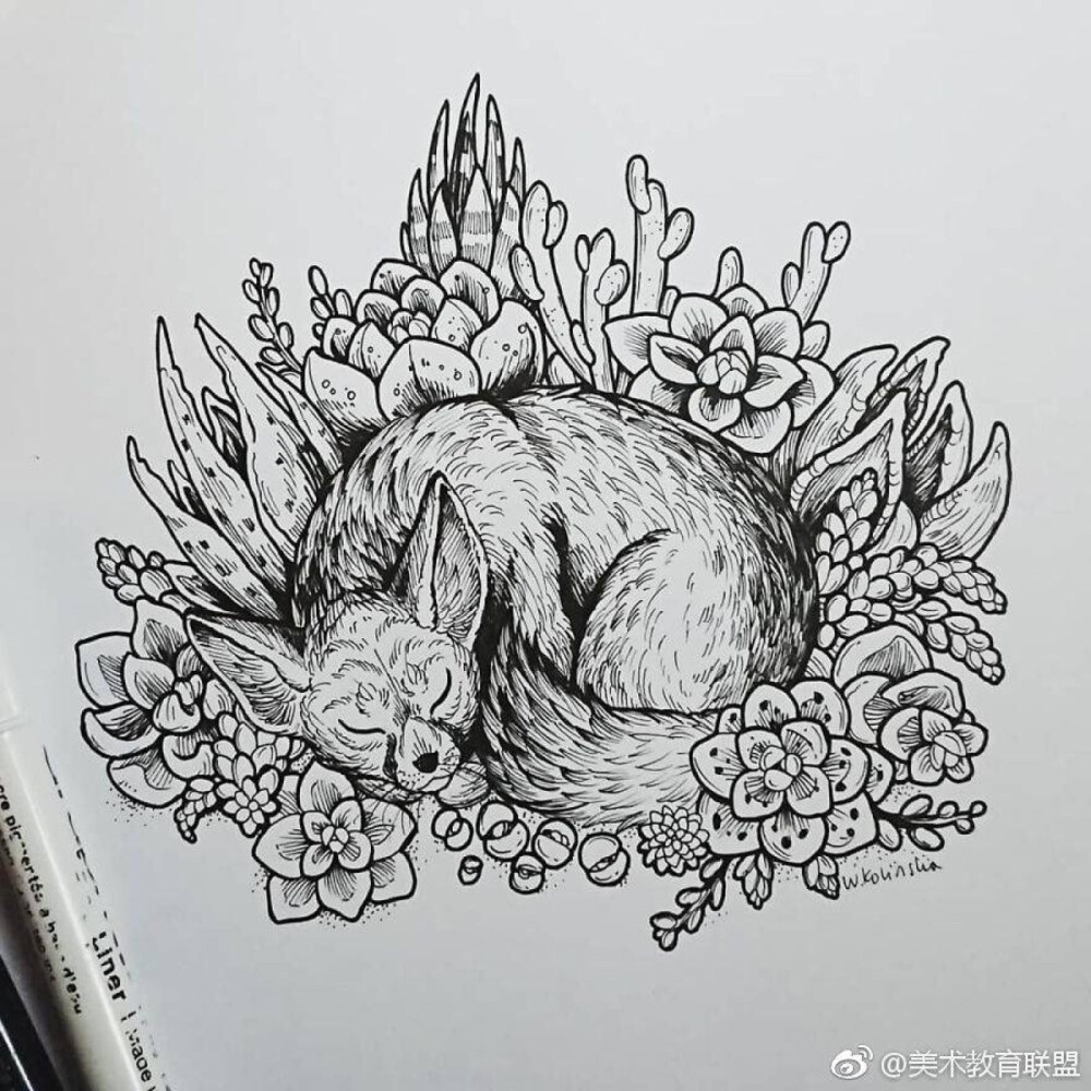 线描小动物