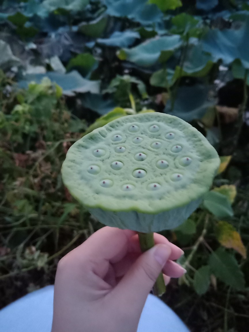 
早就拍了一直没机会上传的照片
每张皂片后面都有些能说的话
心情好发评论