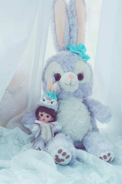 迪士尼
史黛拉
星黛露