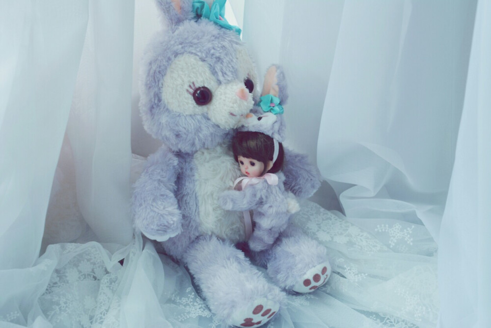 迪士尼
史黛拉
星黛露