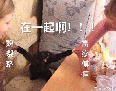 傅璎女孩 富察傅恒 魏佳璎珞 魏嬿婉 拔丝尔晴