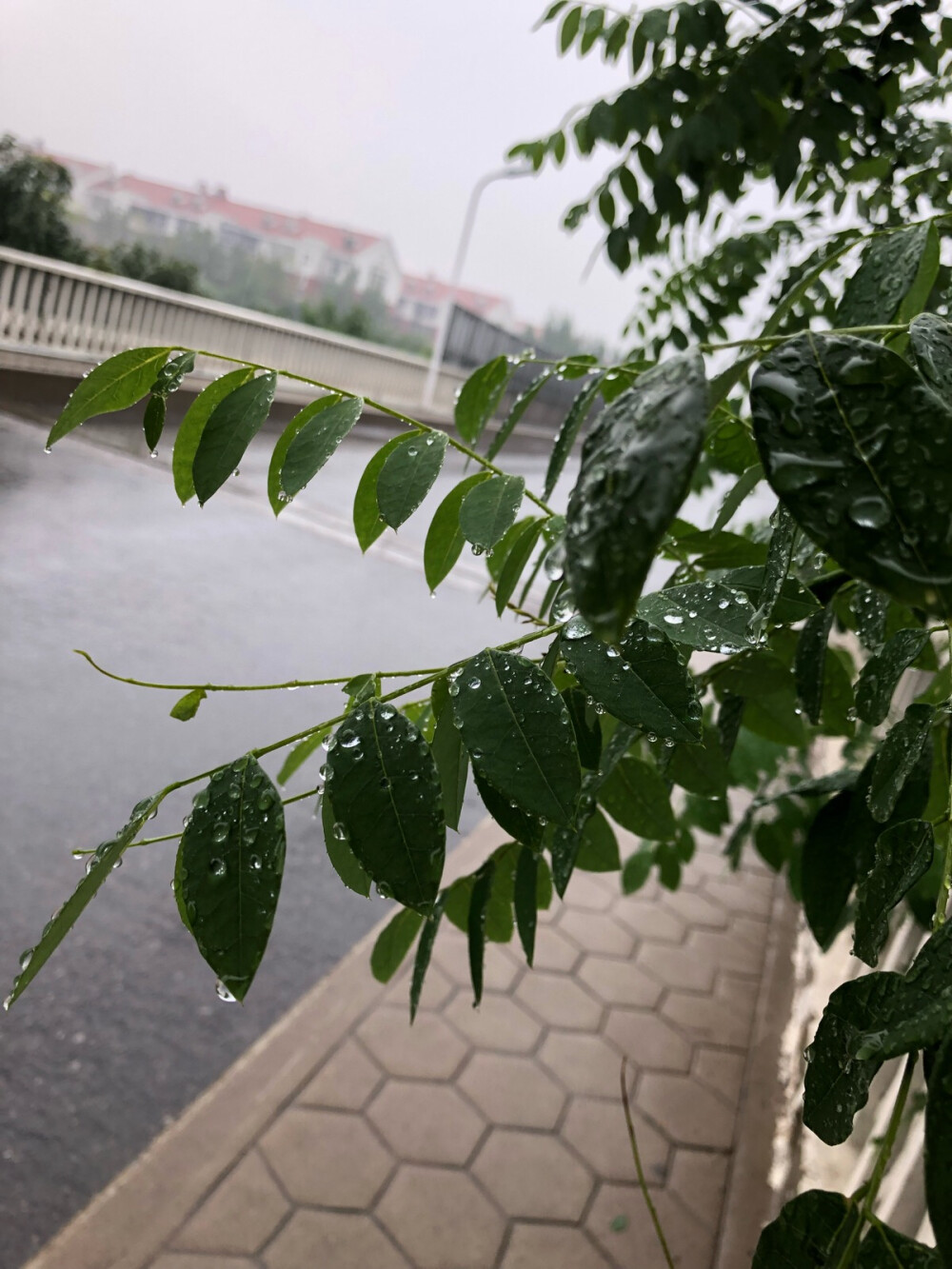 下雨啦